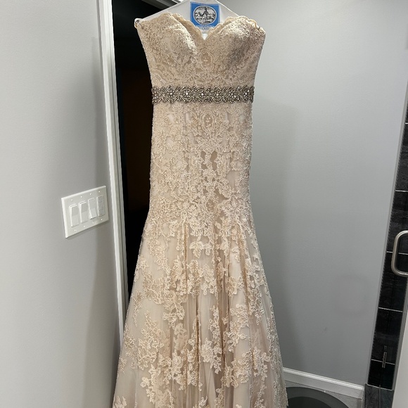 Lace Wedding Dress - Picture 1 of 10